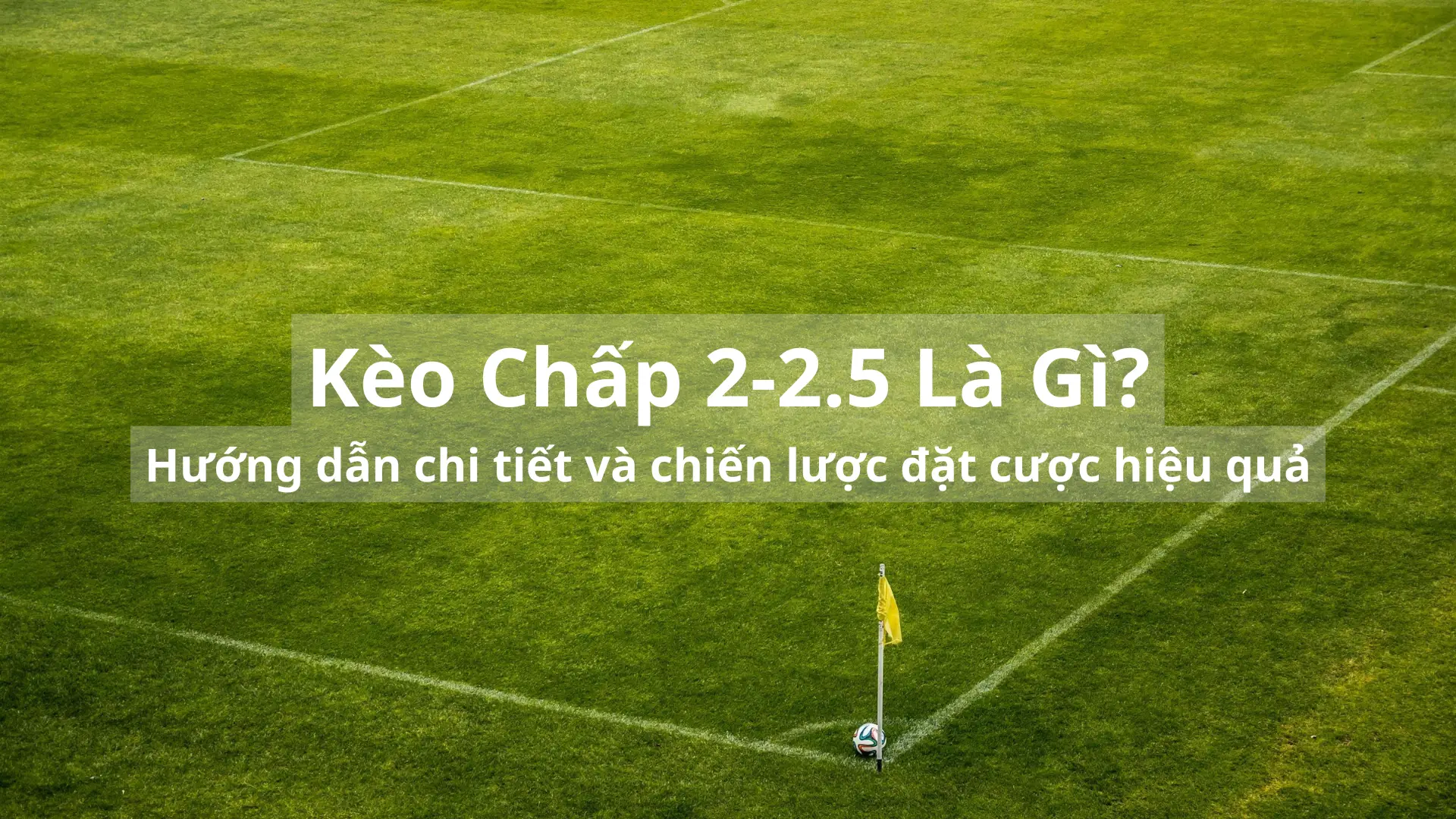 Kèo chấp 2 2.5 là gì? Hướng dẫn chi tiết và chiến lược đặt cược hiệu quả