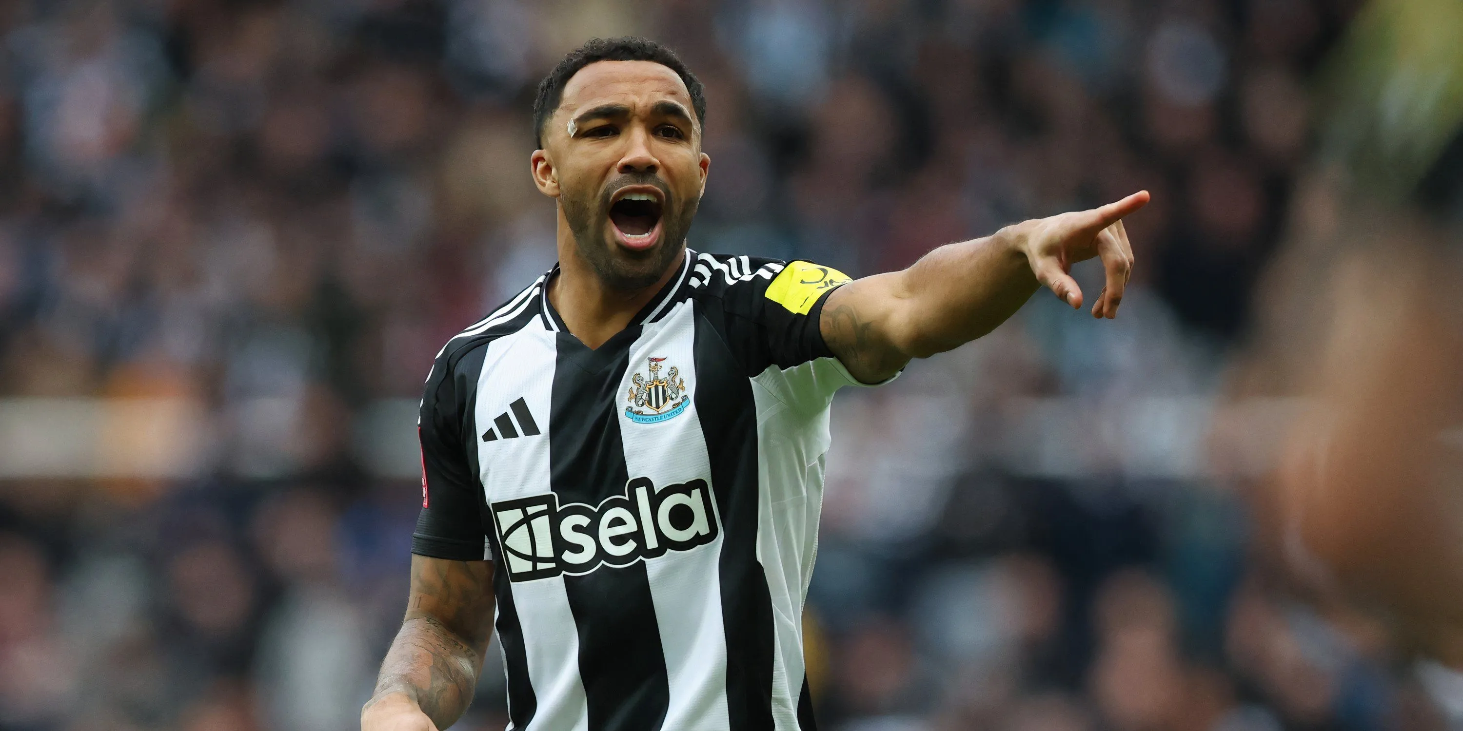 Tiền đạo kỳ cựu Callum Wilson của Newcastle United.