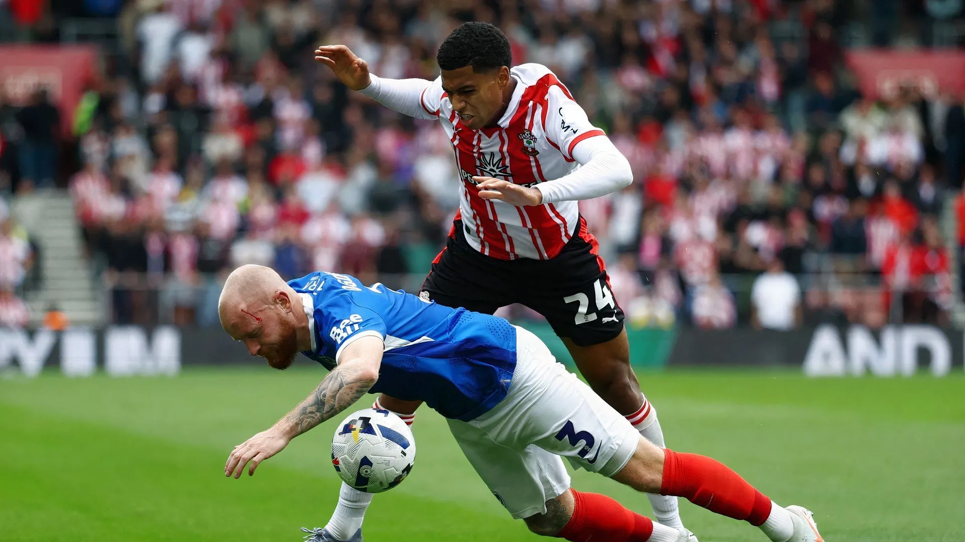 Portsmouth và Southampton - Chuẩn bị cho chiến dịch Championship